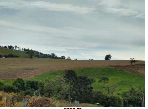IMÓVEL RURAL | APROX: 27 HECTARES |TRÊS CORAÇÕES/MG — Imagem