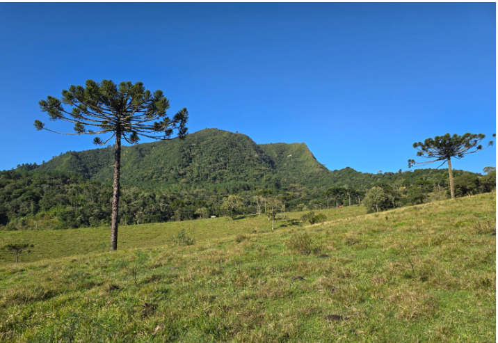 ÁREA 63.000,00m² I FAZENDA GAFANHOTO| DIVINÓPOLIS/MG - Possibilidade de Parcelamento — Imagem